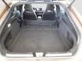 Mercedes-Benz CLA 200 Shooting Brake AMG LINE AHK/PANO Gold - thumbnail 17