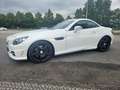 Mercedes-Benz SLK 350 Blanco - thumbnail 3