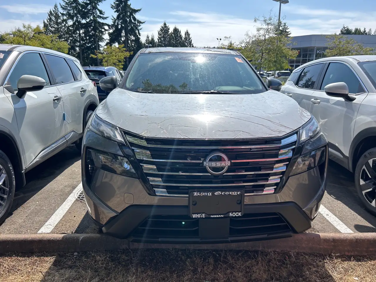 Nissan Rogue снимка Nissan Rogue