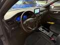 Ford Kuga Kuga 2.5 phev ST-Line 2wd 225cv cvt PLUG-IN Blau - thumbnail 7
