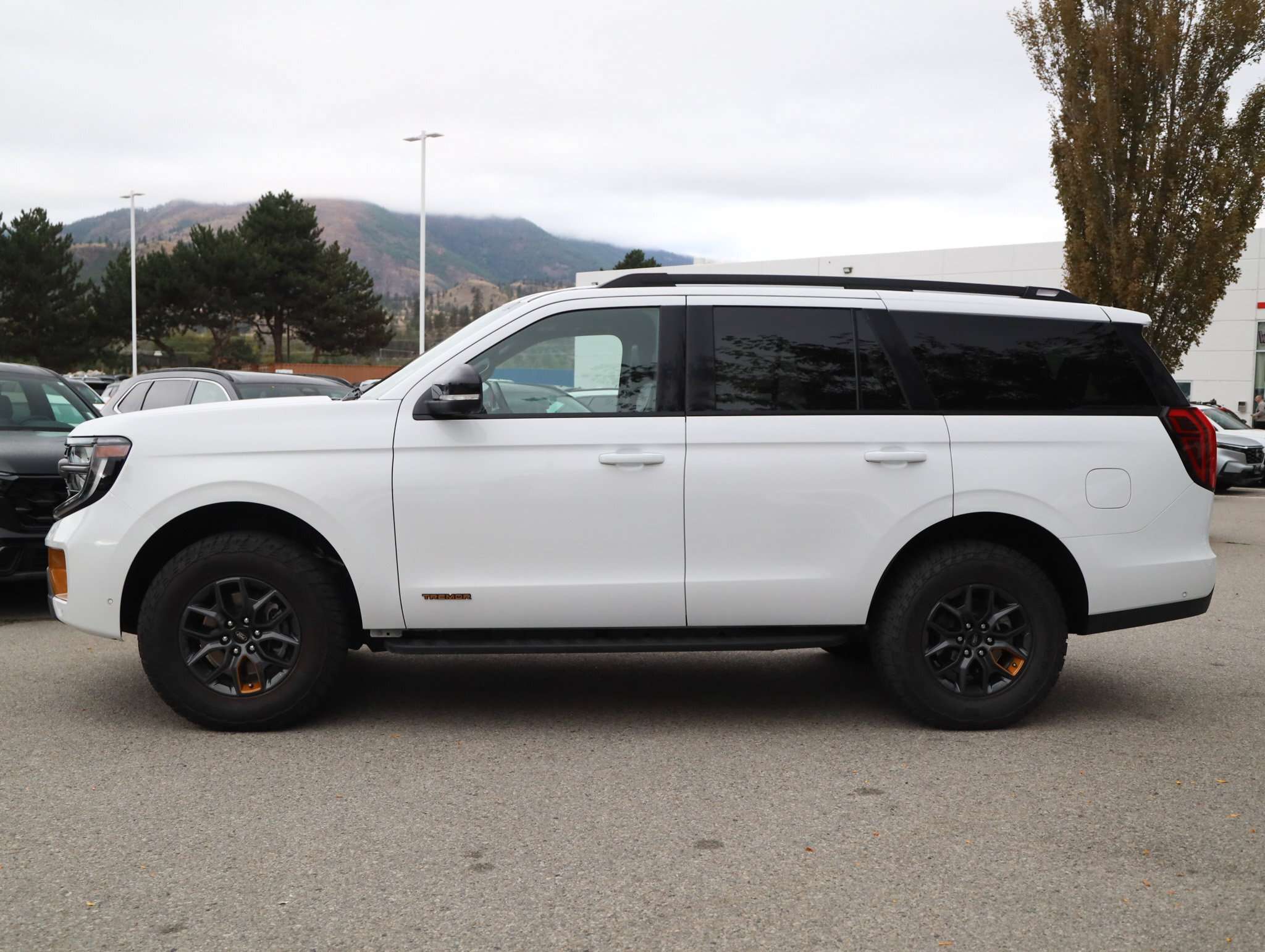 2025 Ford Expedition Tremor 4x4 - No Accidents / BC Vehicle / Panoramic — photo 1