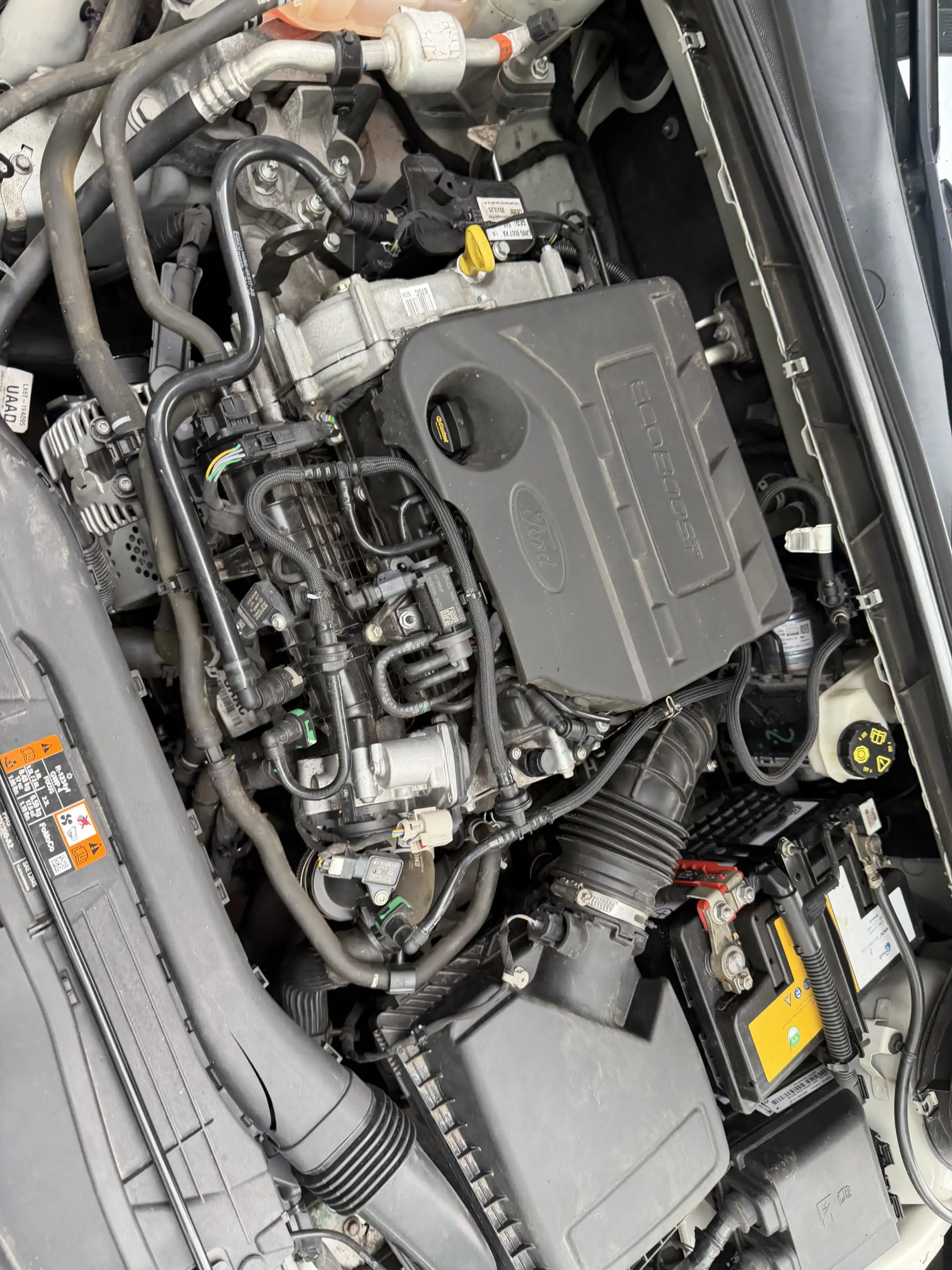Ford Focus Wagon 1.0 EcoBoost Hybrid Titanium X Business Bj 2 — photo 28