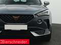 CUPRA Formentor 1.5 TSI DSG AHK KAMERA 19 NAVI Grau - thumbnail 17