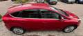 Ford Focus Focus 1.6 TI-VCT Titanium Rood - thumbnail 5
