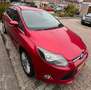 Ford Focus Focus 1.6 TI-VCT Titanium Rood - thumbnail 3
