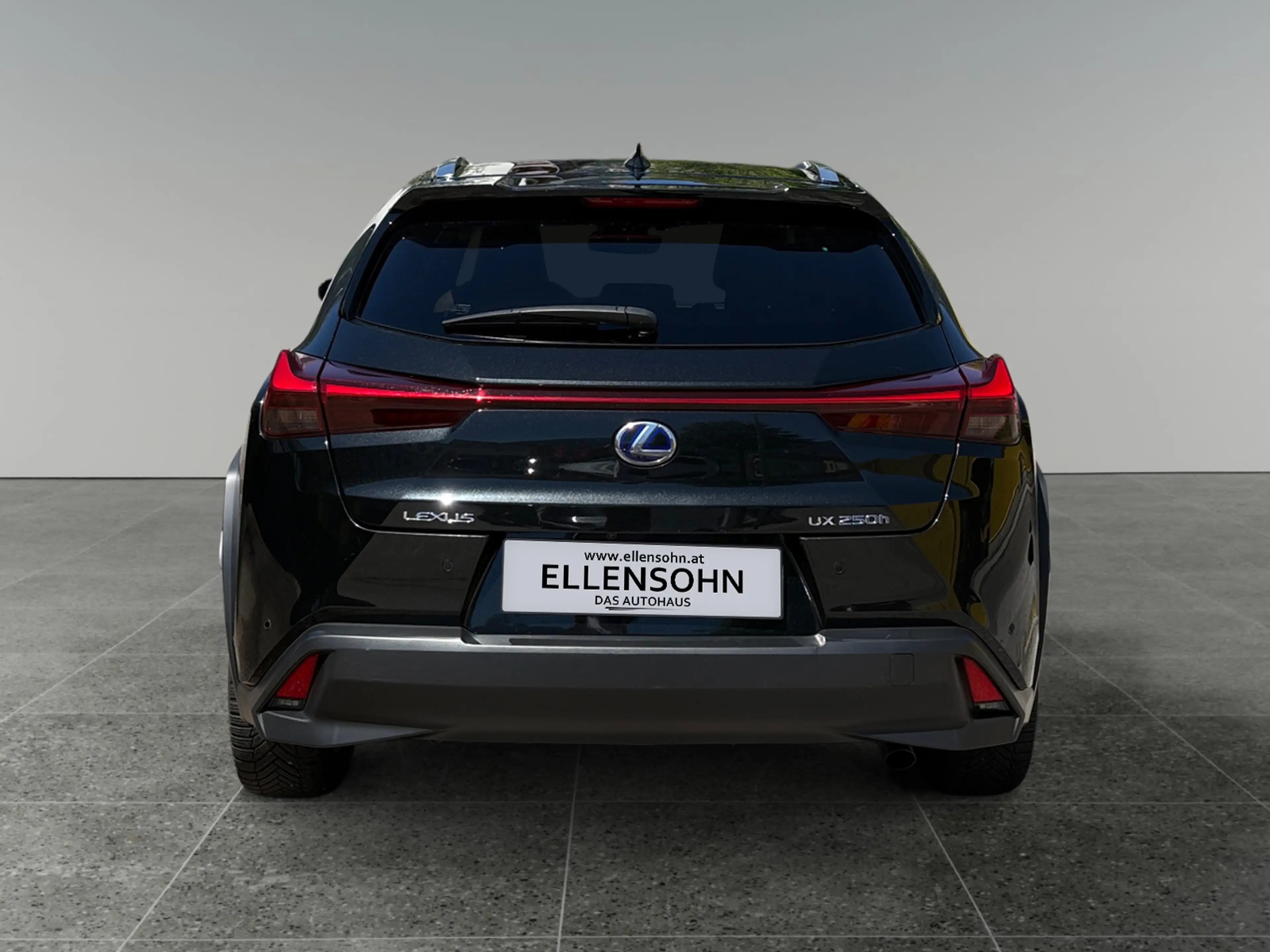 Lexus UX 250h 4x4, Advanced 8-fach bereift! — photo 4