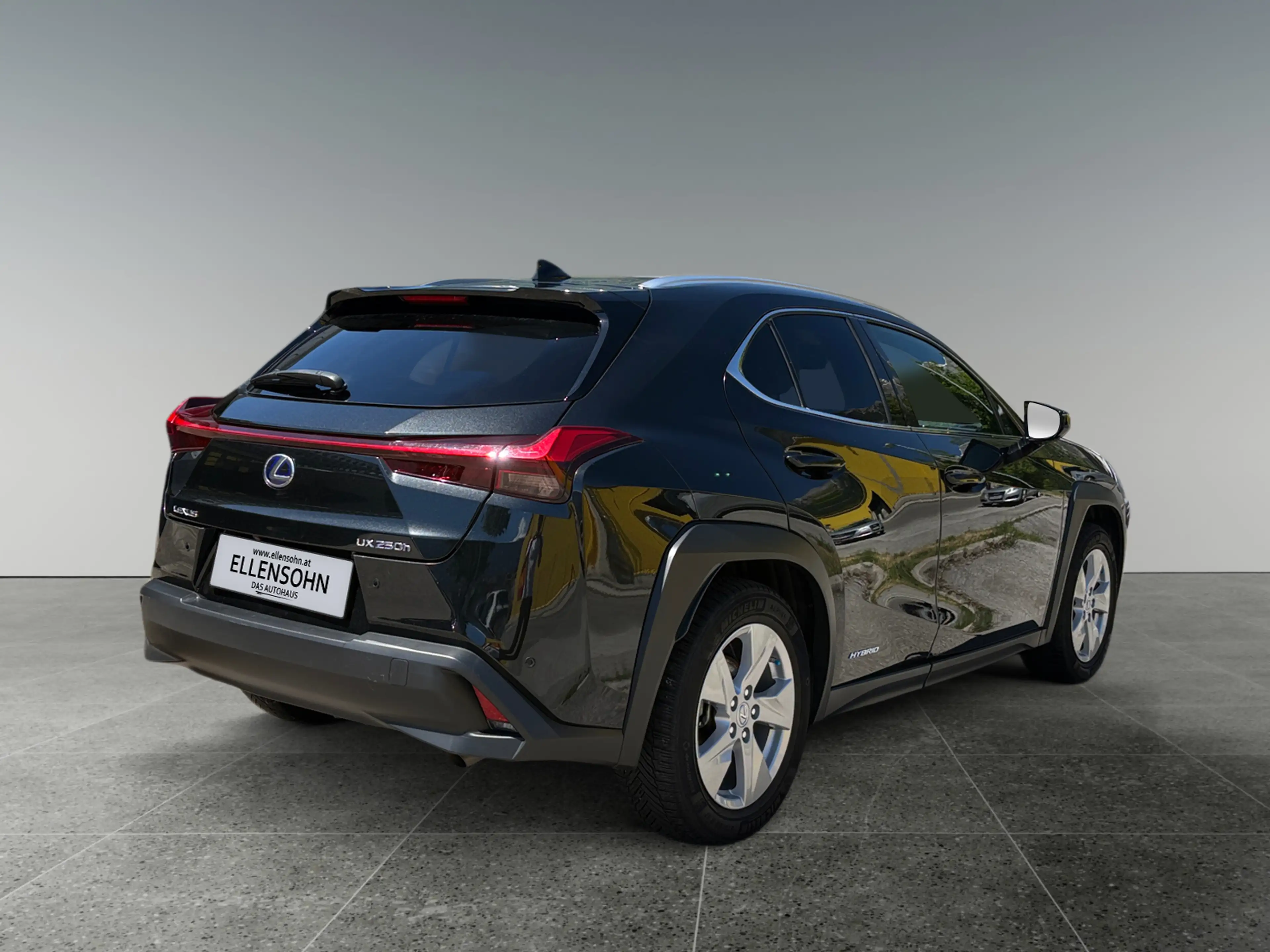 Lexus UX 250h 4x4, Advanced 8-fach bereift! — photo 5