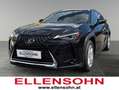 Lexus UX 250h 4x4, Advanced 8-fach bereift! Schwarz - thumbnail 1