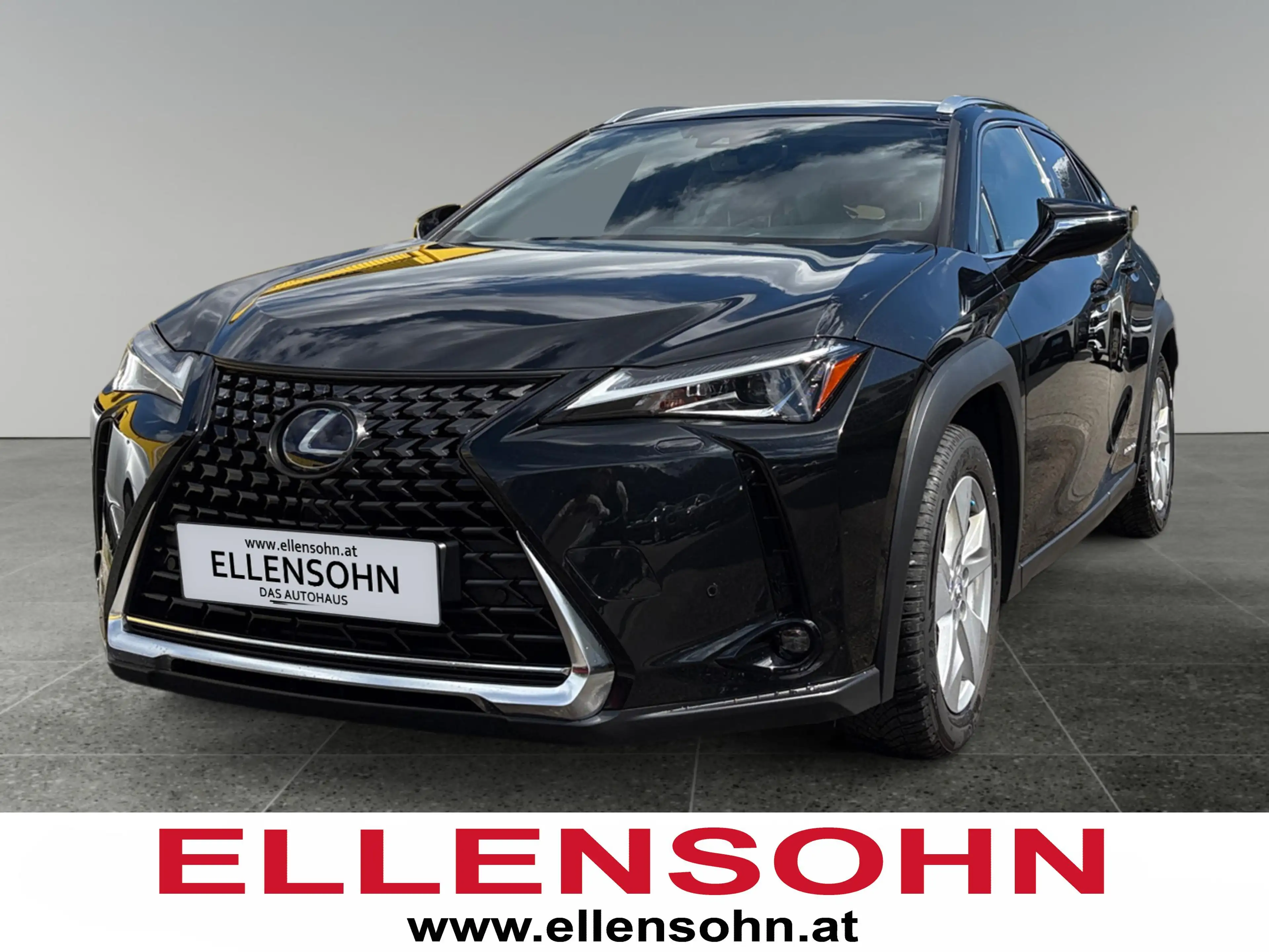 Lexus UX 250h 4x4, Advanced 8-fach bereift!