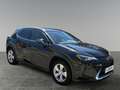 Lexus UX 250h 4x4, Advanced 8-fach bereift! Schwarz - thumbnail 7