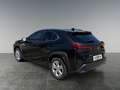 Lexus UX 250h 4x4, Advanced 8-fach bereift! Schwarz - thumbnail 3