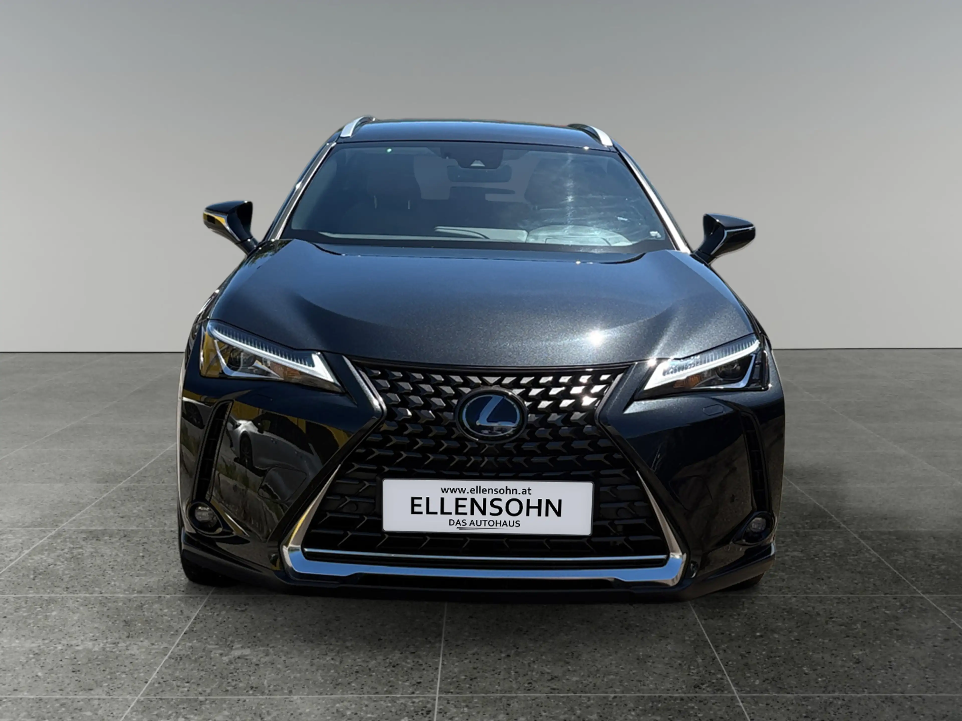 Lexus UX 250h 4x4, Advanced 8-fach bereift! — photo 8