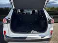 Ford Kuga Kuga 1.5 EcoBlue 120 S Blanc - thumbnail 5