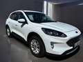 Ford Kuga Kuga 1.5 EcoBlue 120 S Blanc - thumbnail 2