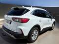 Ford Kuga Kuga 1.5 EcoBlue 120 S Blanc - thumbnail 3