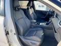 Toyota RAV 4 RAV4 2.5 Plug-In Hybrid Navi*JBL*HUD*4xSHZ*ACC Weiß - thumbnail 10