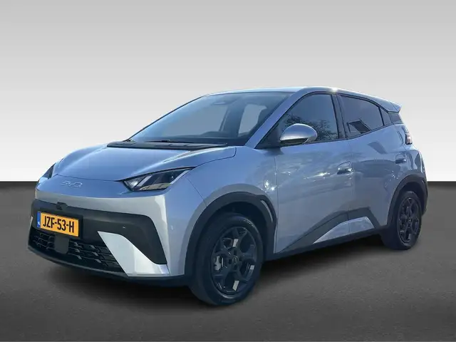 BYD Dolphin Surf