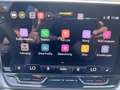 SEAT Leon FR 1.5 eTSI DSG 115 PS Grau - thumbnail 18