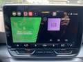 SEAT Leon FR 1.5 eTSI DSG 115 PS Grau - thumbnail 19