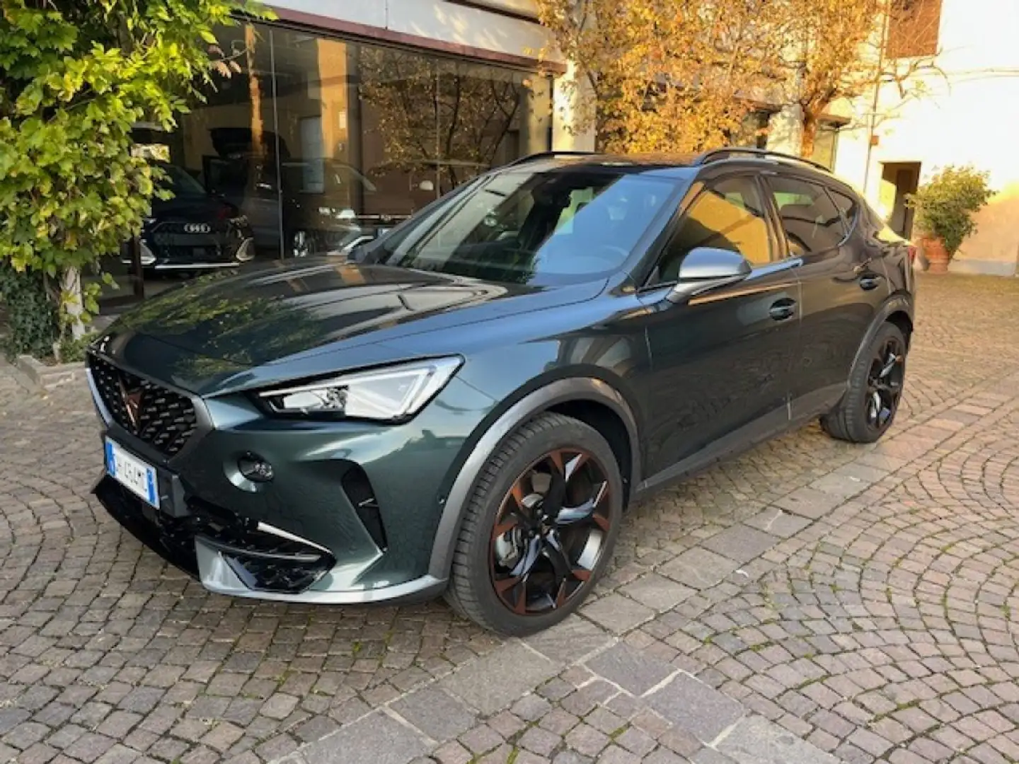 CUPRA Formentor 2.0 TSI 4Drive DSG Gris - 1