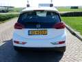 Opel Ampera-E Business executive 60 kWh ** 11499 NETTO ** NEW BA Biały - thumbnail 8