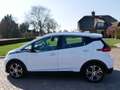 Opel Ampera-E Business executive 60 kWh ** 11499 NETTO ** NEW BA Biały - thumbnail 10