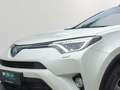 Toyota RAV 4 2.5 4x2 Hybrid Edition-S - thumbnail 5