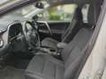 Toyota RAV 4 2.5 4x2 Hybrid Edition-S - thumbnail 7