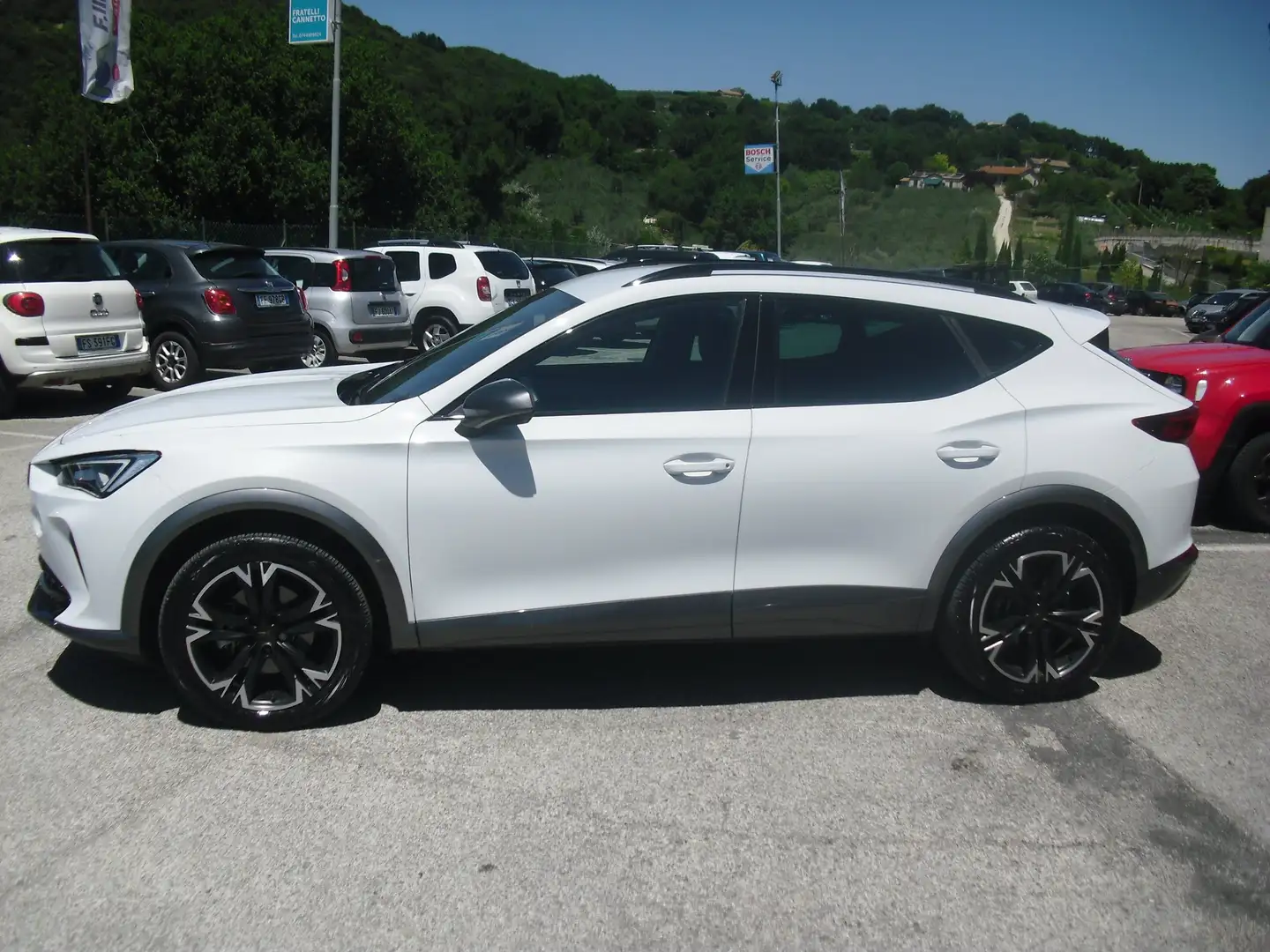 CUPRA Formentor 4wd 2.0 tdi 4drive 150cv dsg, 17.000km, PERFETTA!! Bianco - 2