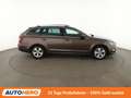 Skoda Octavia 2.0 TSI Style Aut.*NAVI*LED*ACC*CAM* Braun - thumbnail 7