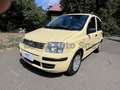Fiat Panda Panda 1.2 Dynamic Class eco Giallo - thumbnail 1