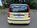 Fiat Panda Panda 1.2 Dynamic Class eco Giallo - thumbnail 4