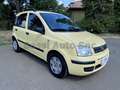 Fiat Panda Panda 1.2 Dynamic Class eco Giallo - thumbnail 3