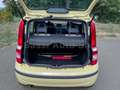 Fiat Panda Panda 1.2 Dynamic Class eco Giallo - thumbnail 14