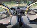 Fiat Panda Panda 1.2 Dynamic Class eco Giallo - thumbnail 6