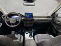 Ford Kuga 2.0 EcoBlue Aut. TITANIUM X Grau - thumbnail 13