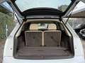 Audi Q7 45 3.0 tdi mhev quattro 7 posti tiptronic TELECAM Bianco - thumbnail 28