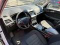 Ford Galaxy 2.0 EcoBlue Business Automatik - MOTORSCHADEN Weiß - thumbnail 7