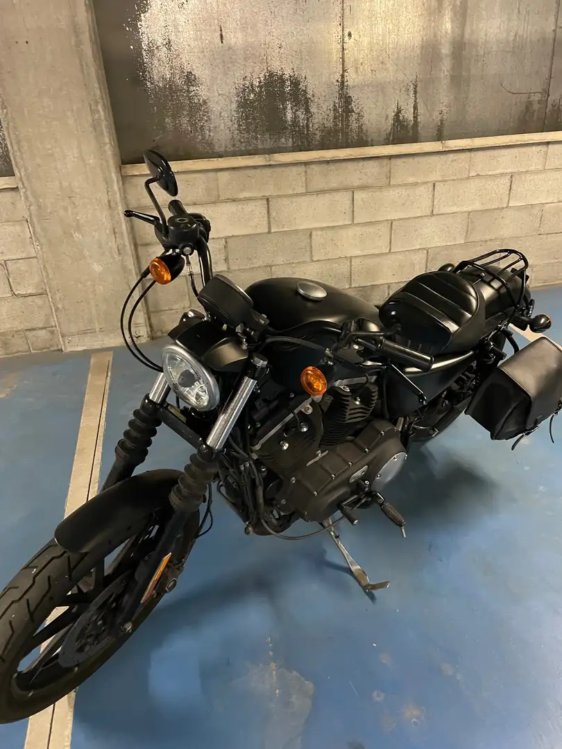 Harley-Davidson Iron 883 Noir - 2