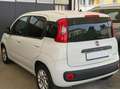 Fiat Panda Panda 1.0 firefly hybrid s Bianco - thumbnail 4