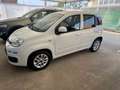 Fiat Panda Panda 1.0 firefly hybrid s Bianco - thumbnail 13