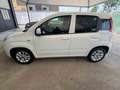 Fiat Panda Panda 1.0 firefly hybrid s Bianco - thumbnail 14