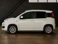 Fiat Panda Panda 1.0 firefly hybrid s Bianco - thumbnail 9