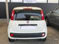 Fiat Panda Panda 1.0 firefly hybrid s Bianco - thumbnail 12