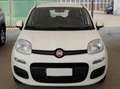 Fiat Panda Panda 1.0 firefly hybrid s Bianco - thumbnail 2