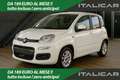 Fiat Panda Panda 1.0 firefly hybrid s Bianco - thumbnail 1