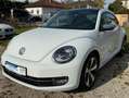 Volkswagen Beetle MWST AUSW. PANO KAM PDC NAVI KLIMA XENON Wit - thumbnail 1