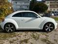 Volkswagen Beetle MWST AUSW. PANO KAM PDC NAVI KLIMA XENON Wit - thumbnail 5