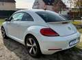 Volkswagen Beetle MWST AUSW. PANO KAM PDC NAVI KLIMA XENON Wit - thumbnail 3