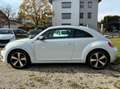 Volkswagen Beetle MWST AUSW. PANO KAM PDC NAVI KLIMA XENON Wit - thumbnail 2